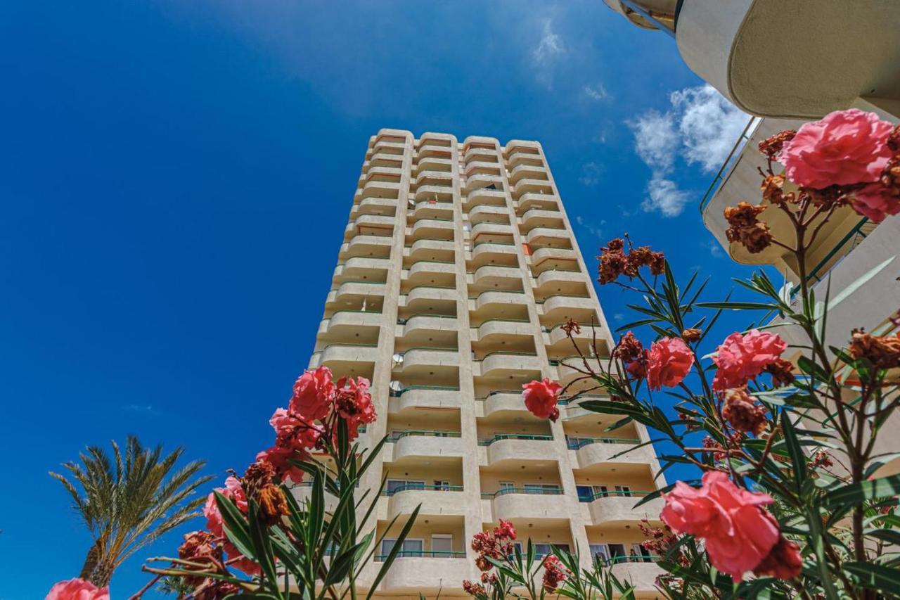 Apartamento Oasis Los Cristianos  Exterior foto